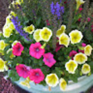 Meet your Posher, Mindy